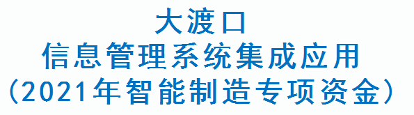 大渡口信息管理系统集成应用(2021年智能制造专项资金)(图1)